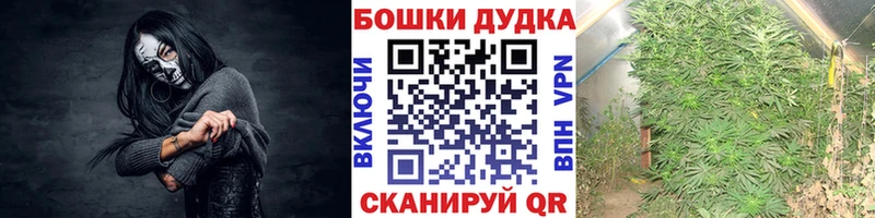 Канабис Ардатов