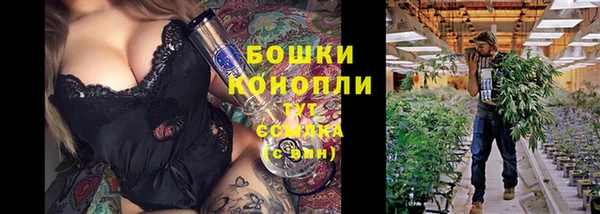PSILOCYBIN Армянск