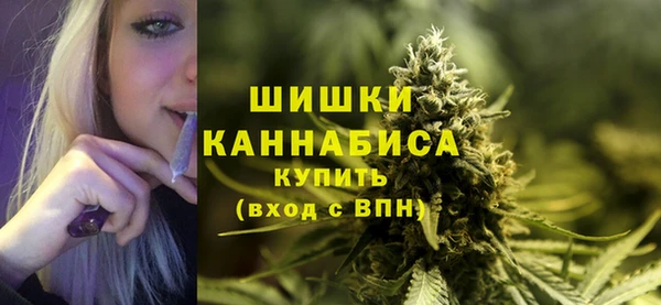 PSILOCYBIN Армянск